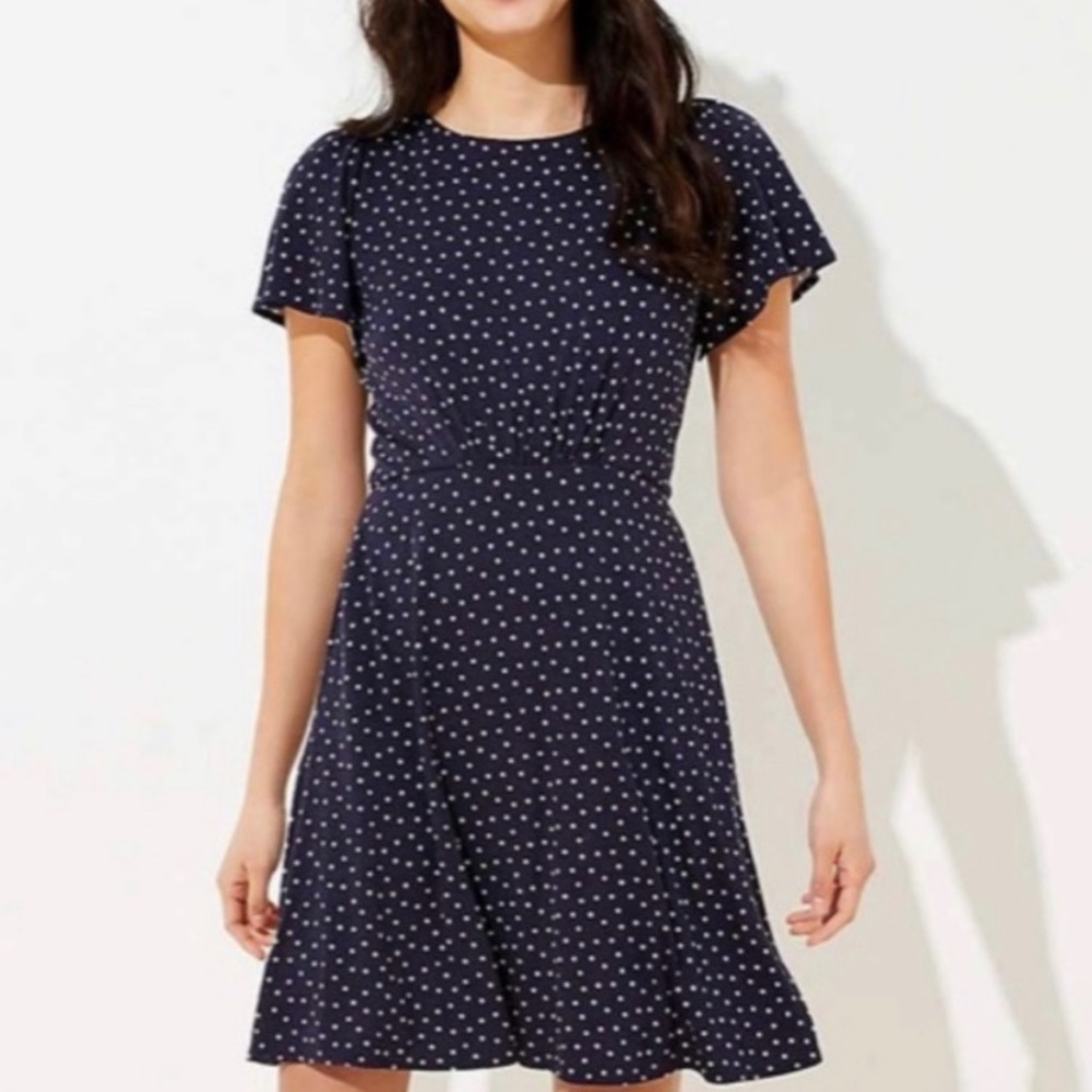 Loft Navy Polka Dot Dress